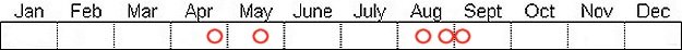 Seasonal status from Fraser Valley Birding records