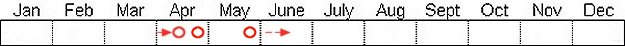 Seasonal status from Fraser Valley Birding records